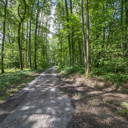 Cozy With Barbecue * Trou du Diable